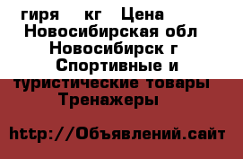 гиря 32 кг › Цена ­ 800 - Новосибирская обл., Новосибирск г. Спортивные и туристические товары » Тренажеры   